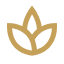Supports Root Resilience